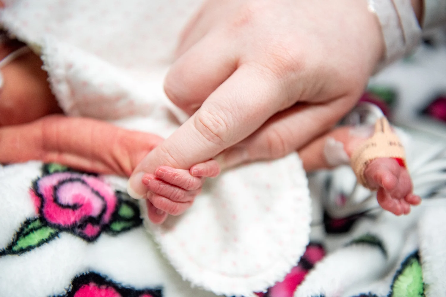 A tiny hand holding a parent's finger