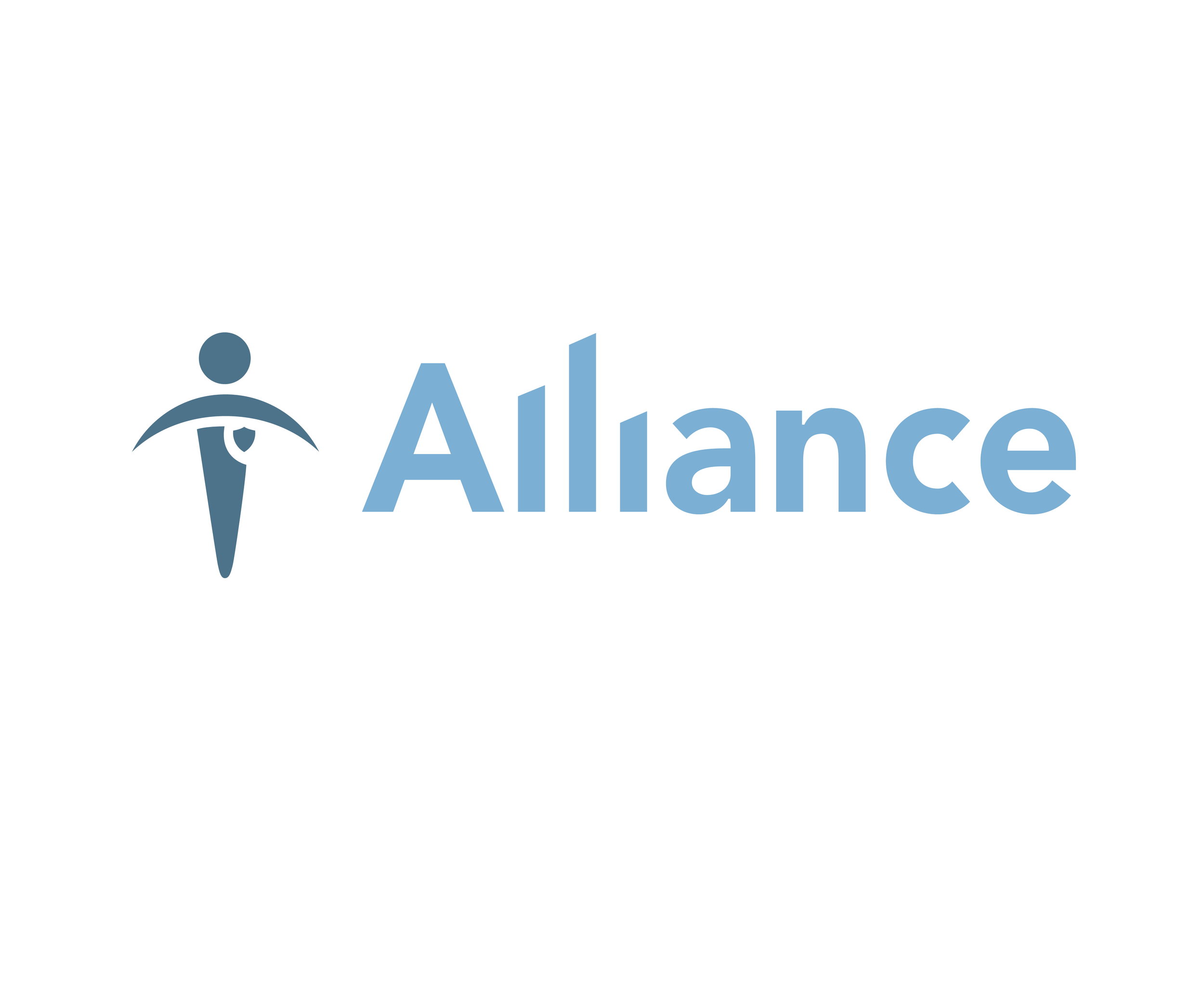 Alliance Security