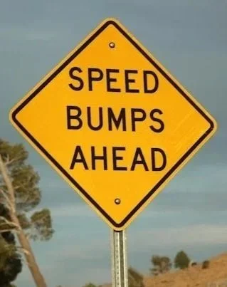 road sign saying "speed bumps ahead"