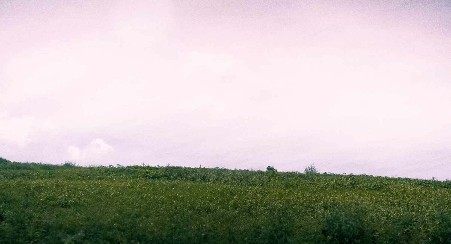Still from INERTIA: a green hillside of low shrubs under a pale pink overcast sky.