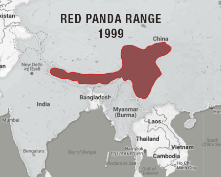 Где обитает маленький. Ареал обитания малой панды. Красная Панда место обитания карта. Красная Панда ареал обитания.