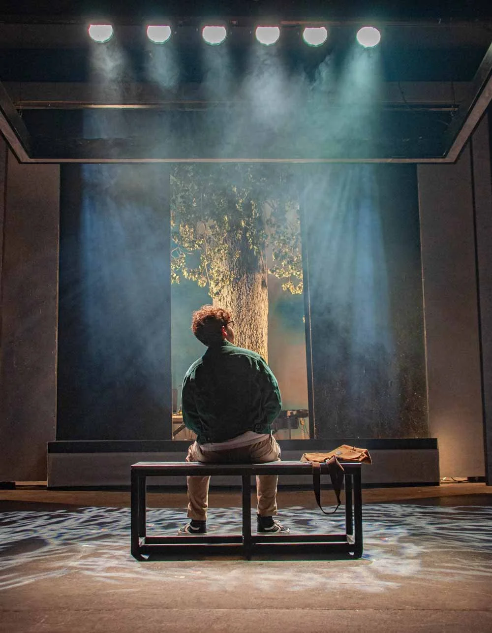 An actor seated on a bench before a tree in Dear Evan Hansen