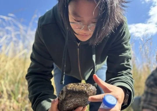 A student examining a rock sample during geology fieldwork