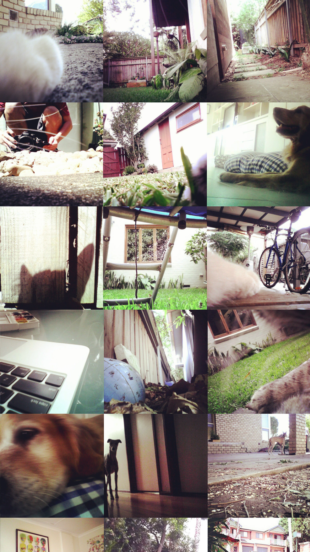 Project 4