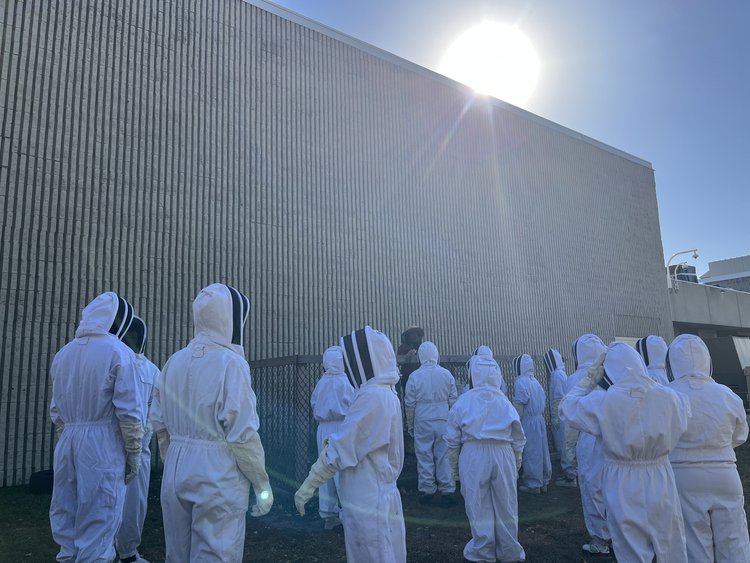 High School students in white beekeeping suits  stand with their backs to the camera, looking at a woman in a beekeeping veil standing on something inside a fence. The sun crests over the building behind her.