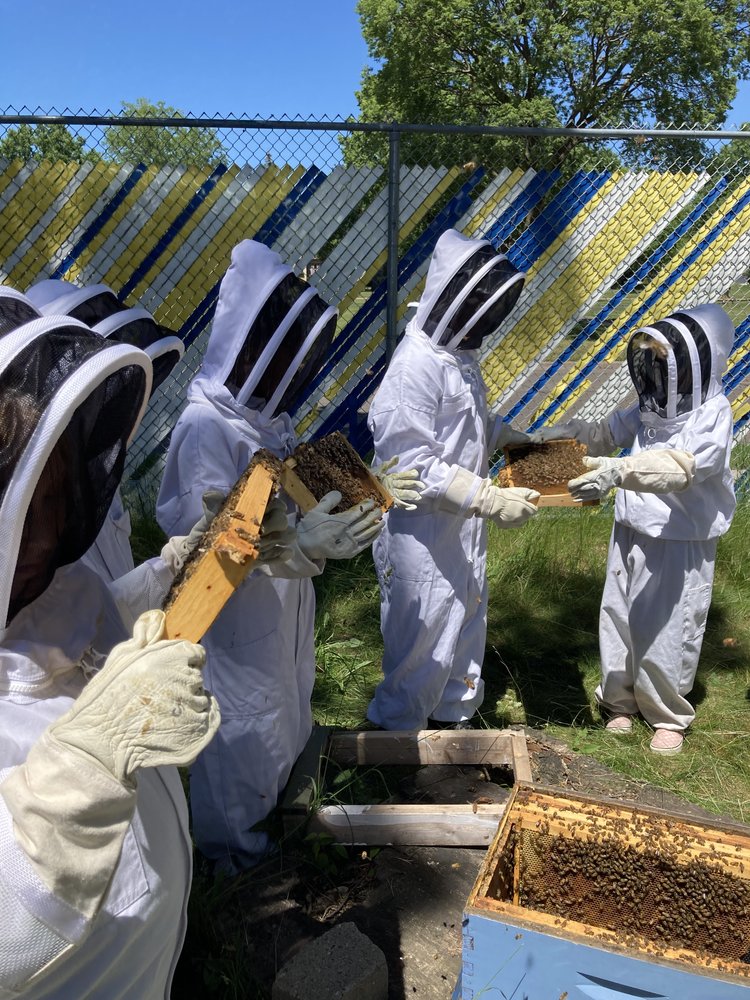 Children hold rectangular frames of honey bees.  An open hive of bees is on the ground next to them. They're wearing beekeeping suits and gloves and some hold frames up to their faces.