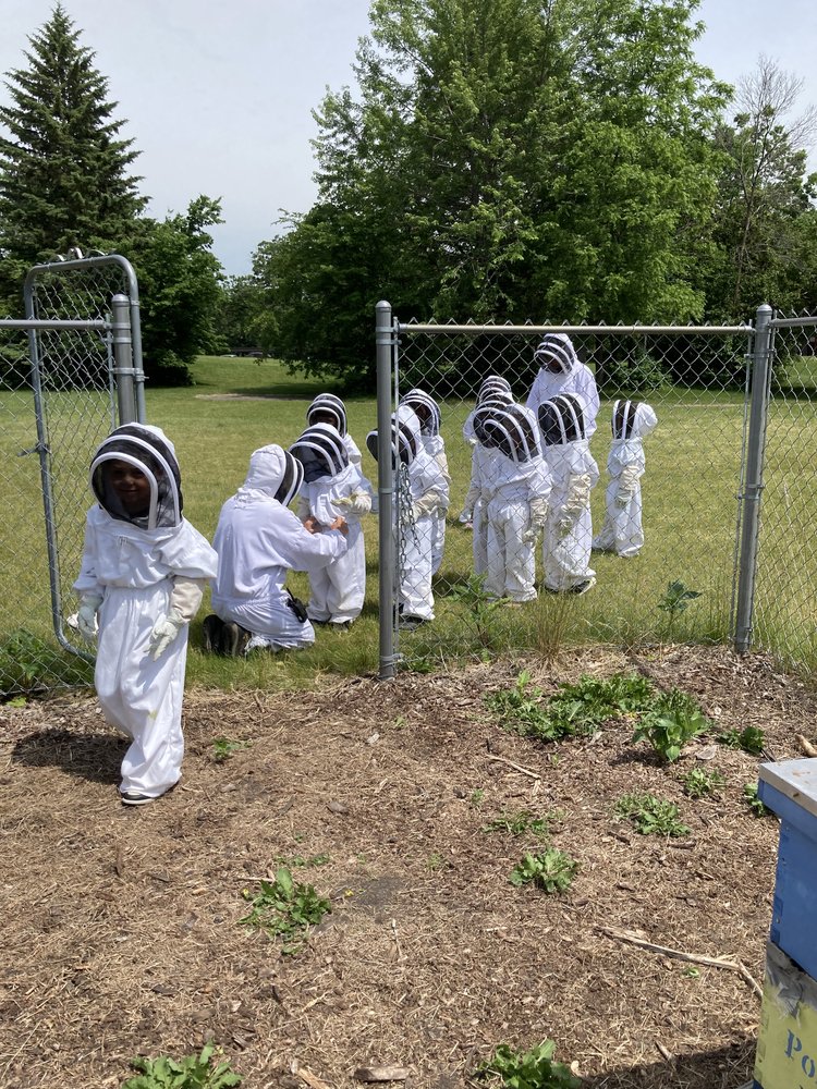 Children in white beekeeping suits stand in a line at the entrance to a fence. A kneeling adult fixes a student's jacket to protect them from the bees. One student strides through the entrance.