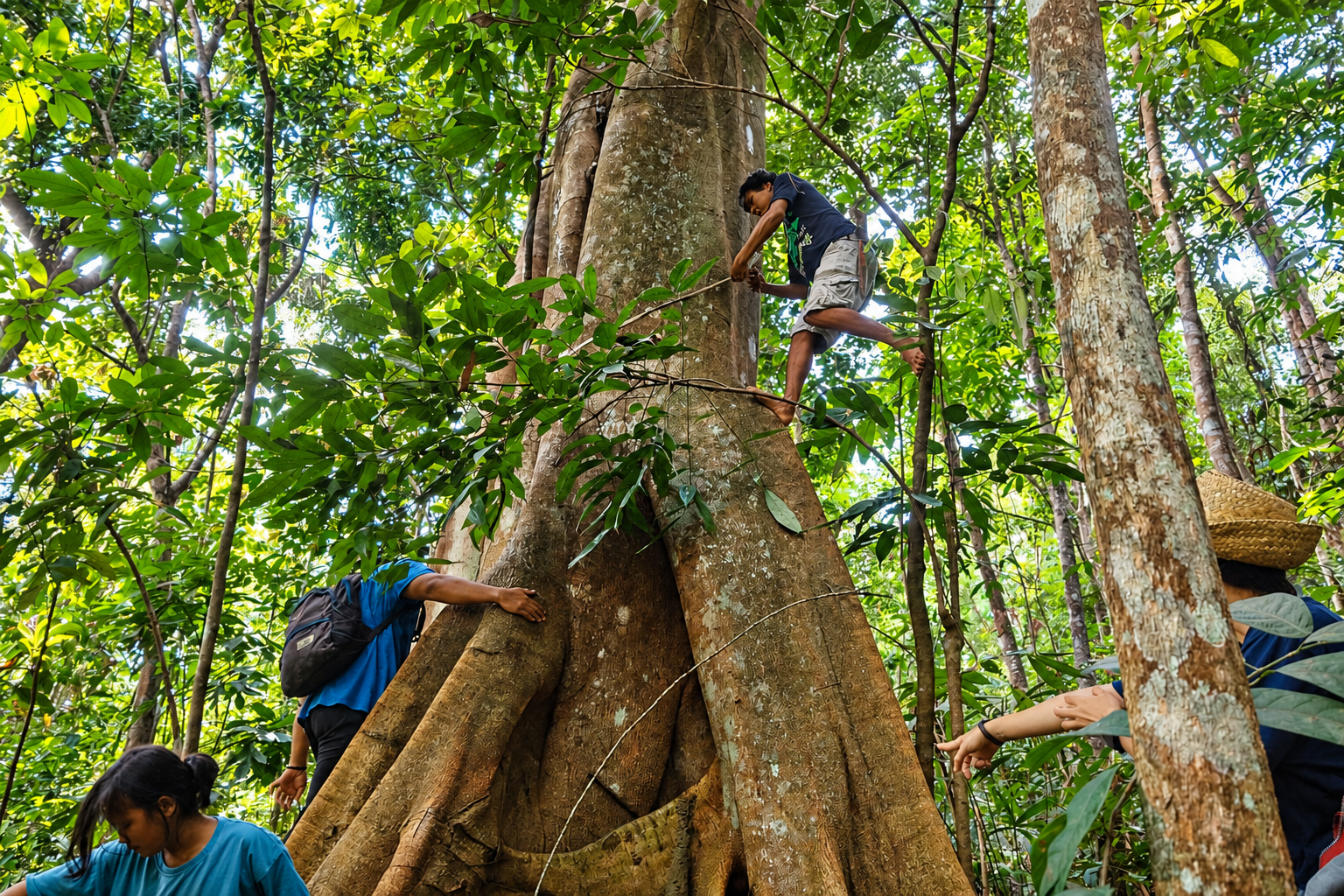 Four people measuring a tree trunk and recording field observations
