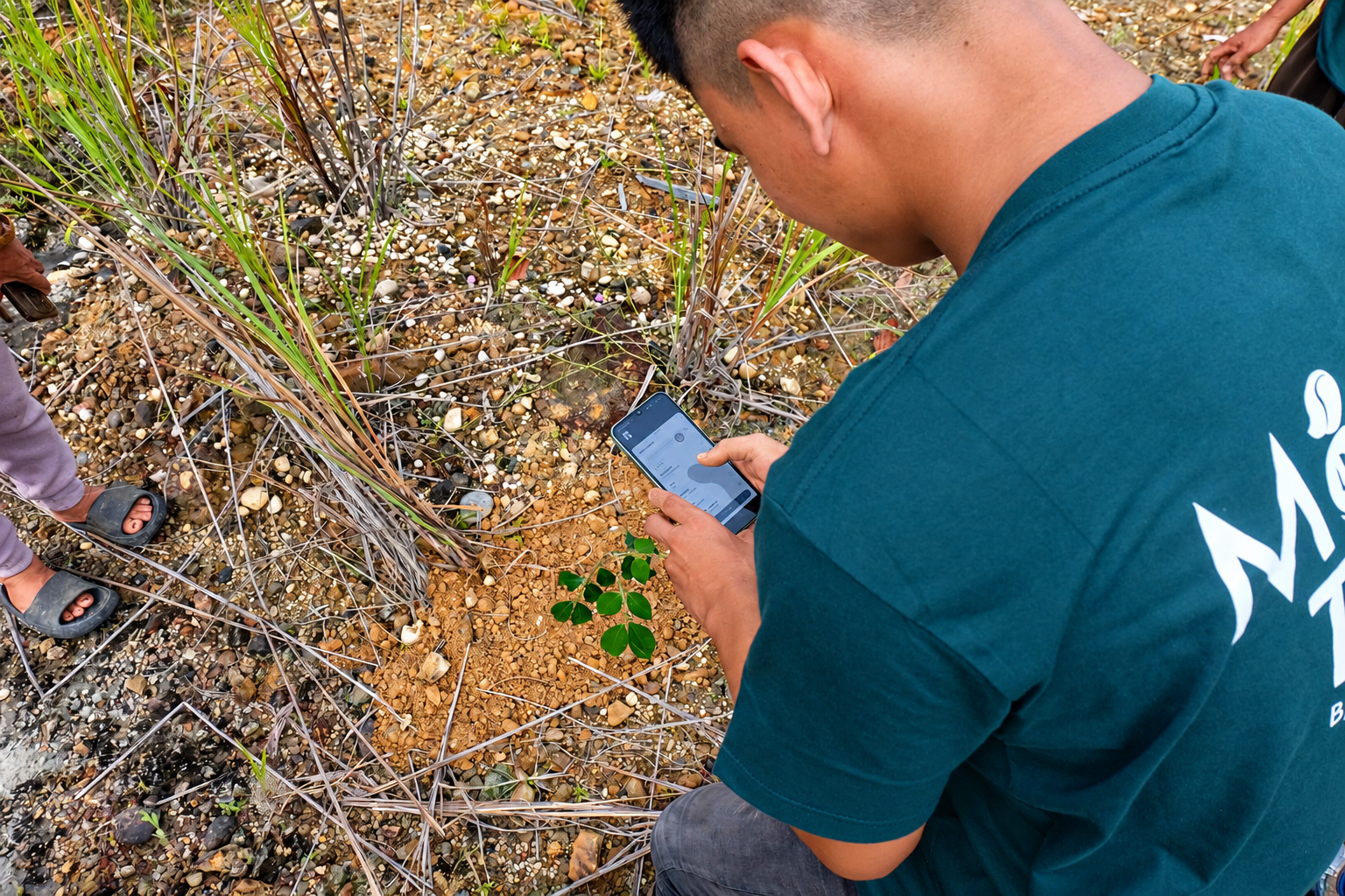 Field agent photographing a newly planted tree for GPS documentation