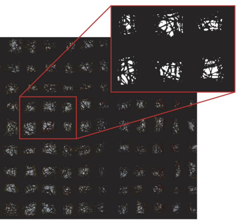 Cough Simulation Image