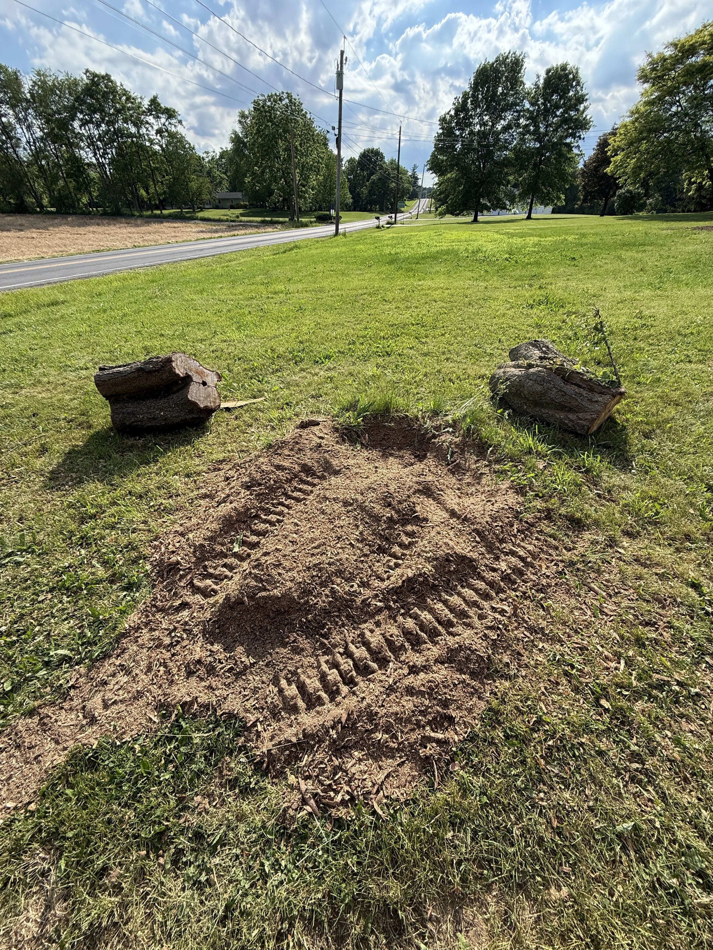 Clean yard after grinding