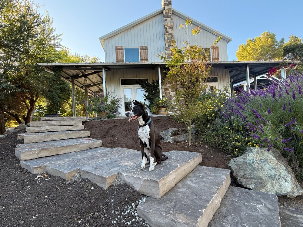 Silver Mountain natural-face stair treads stepping through a landscaped garden.