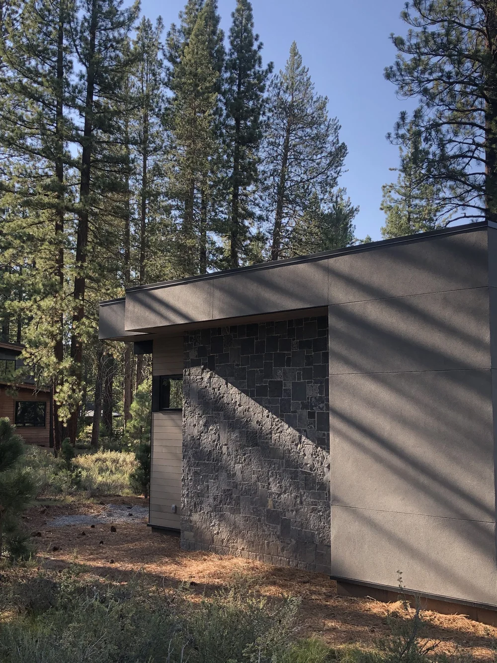 Black Pearl fills a single bay under a deep eave, dark against pale plaster with the pines closing in behind.