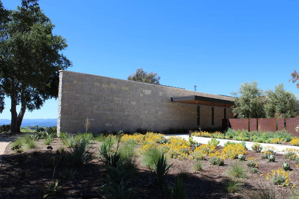 The Avalon wall meets the entry canopy, seen across a dry garden in full sun.
