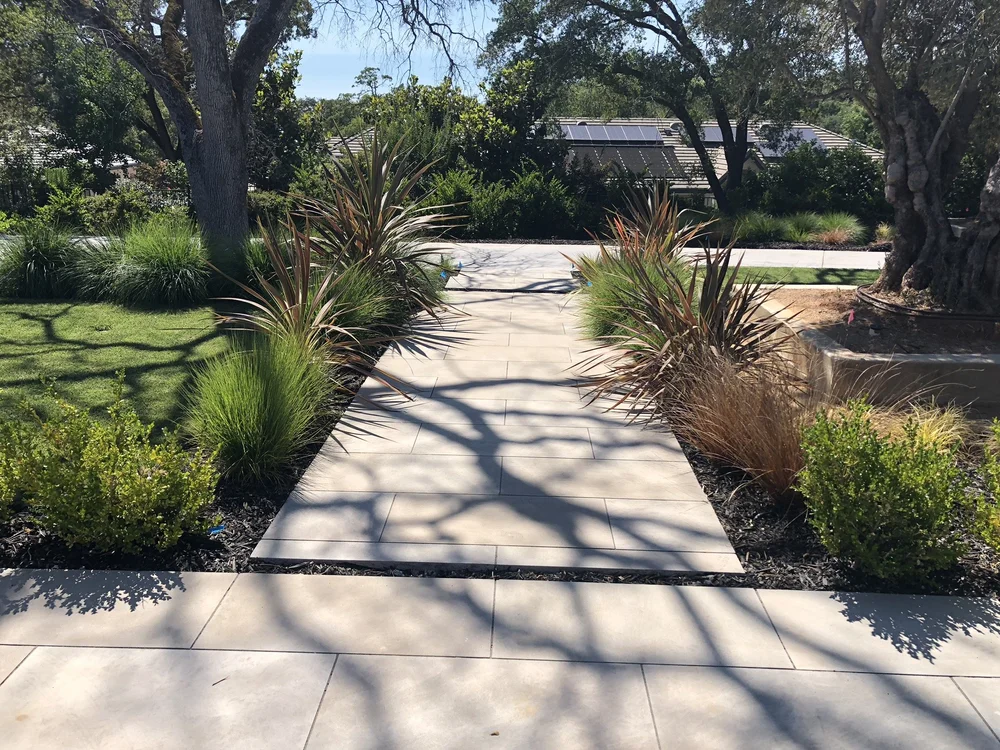 An Indiana Limestone Gray walk runs between planted beds of grasses and low shrubs.