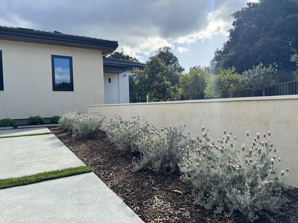 A low wall in brushed Cream panels finished with honed caps and sills.