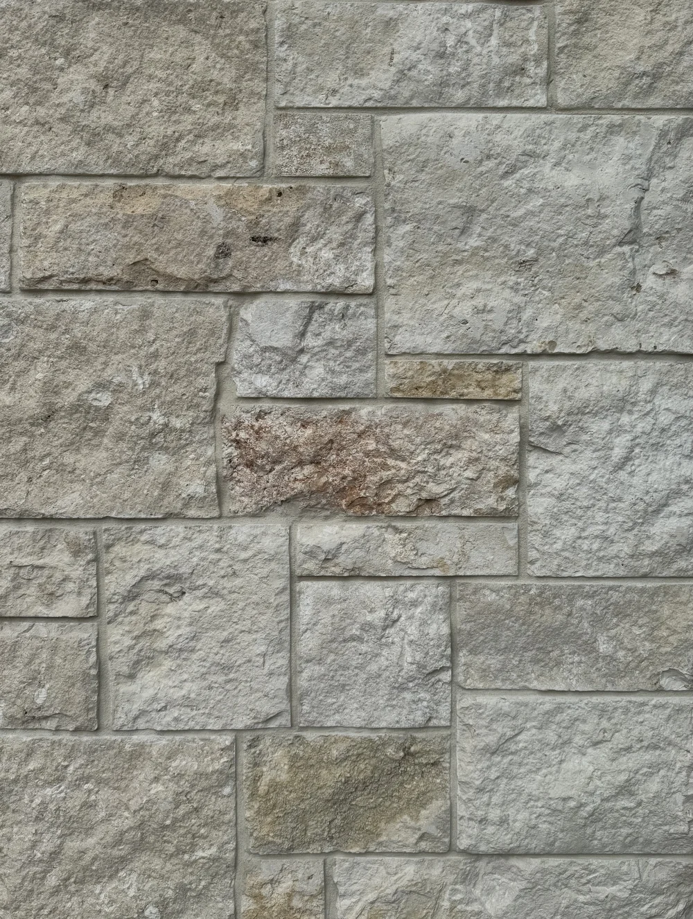 Sea Fossil ashlar veneer in split and natural faces, a close-up material sample.