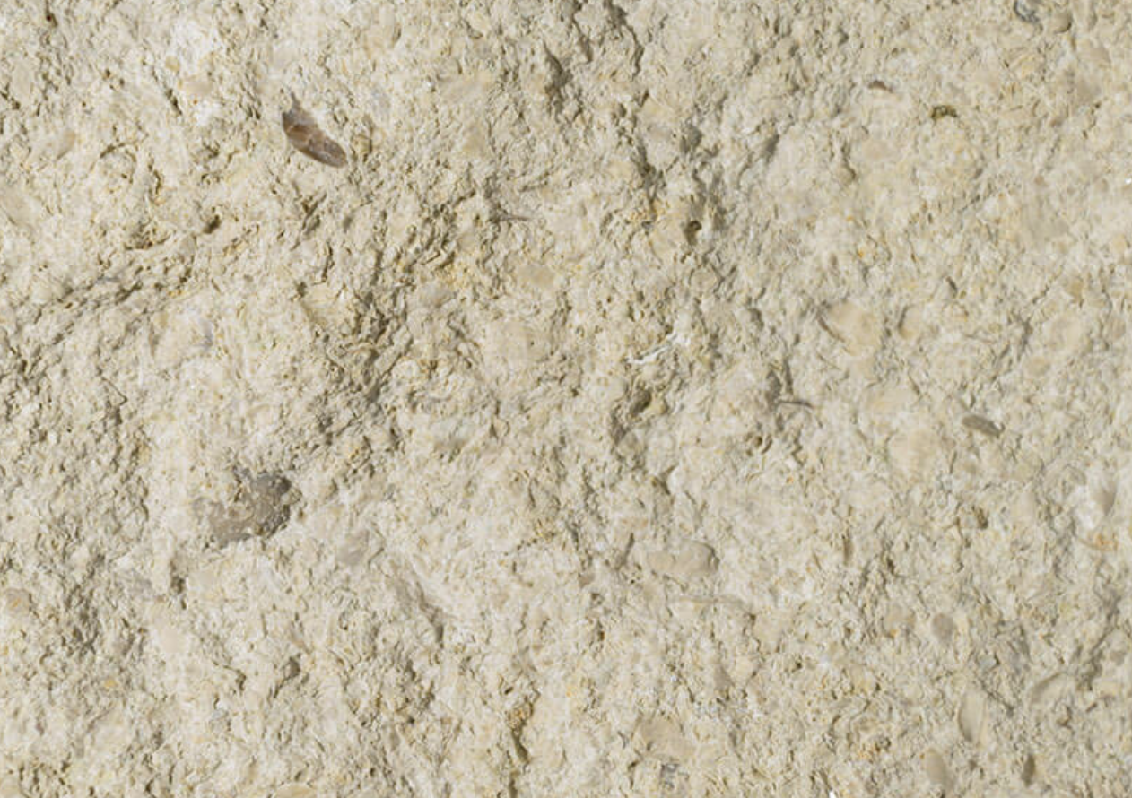 Prairie Shell ashlar veneer sample in split face.