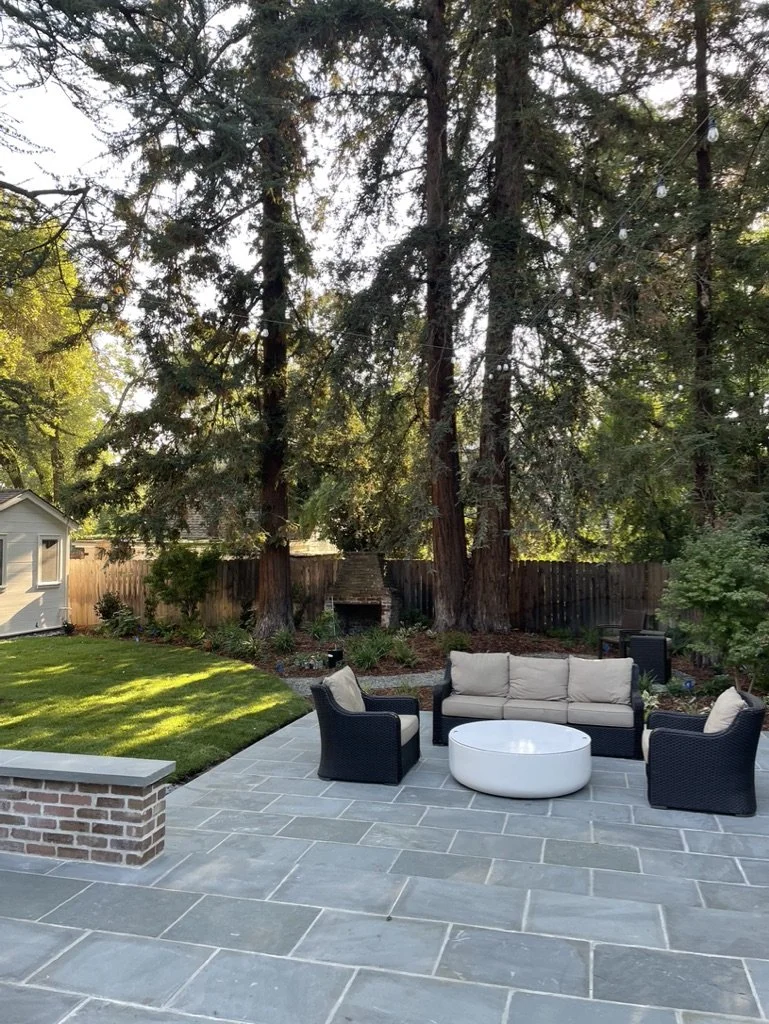 Bluestone paves a seating group under the redwoods, a capped brick wall stepping down at the left.