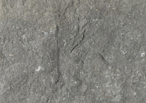 Plaza Gray natural stone, gray