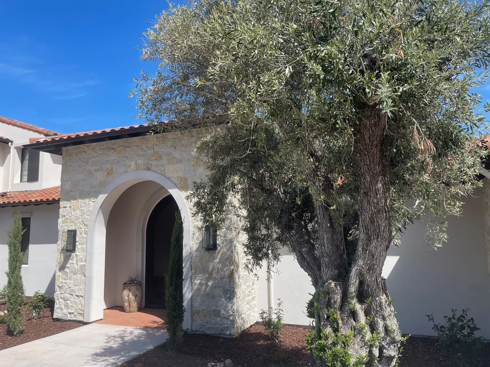 Tuscany field veneer at a facade and entry in split and natural faces with overgrout joints.