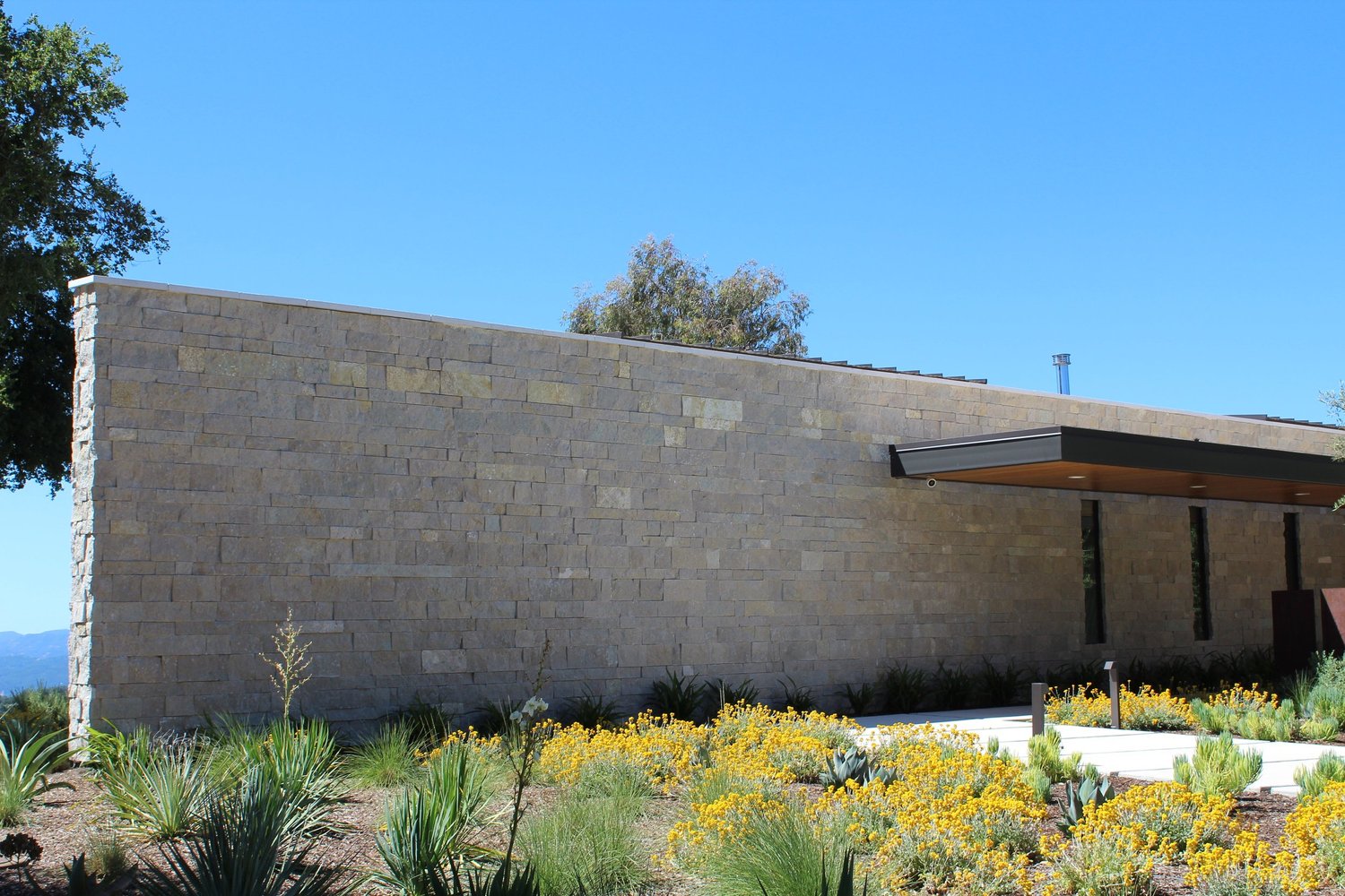 A long Avalon wall runs the length of the elevation above flowering planting.