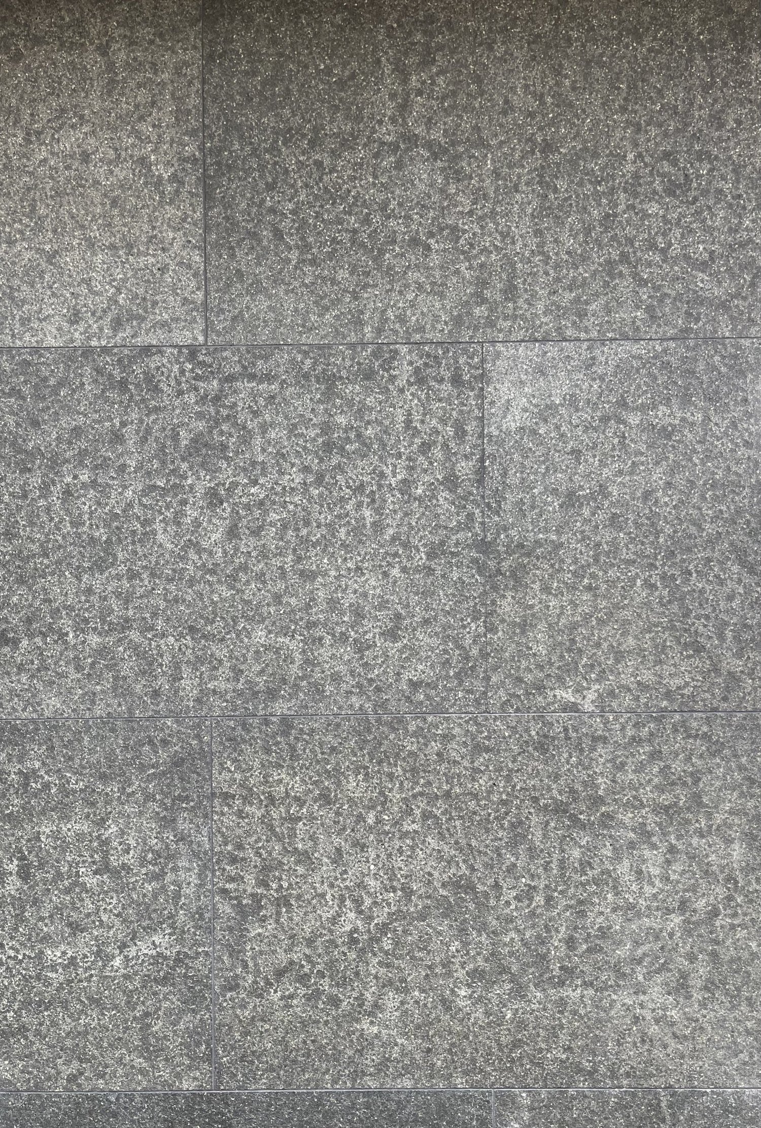Black Basalt panel veneer shown up close, flamed faces speckled gray over charcoal.