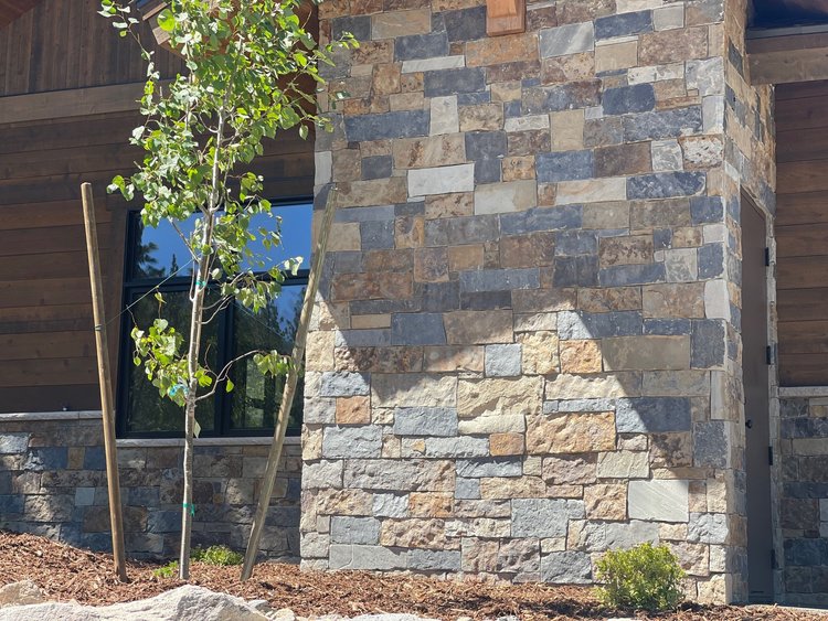 Aspen Estate veneer and Indiana Limestone wainscot caps and sills on a facade.