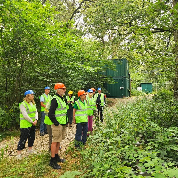 A group of people in high viz vests and hard hats look to the right of the photo, and they are surrounded by trees.