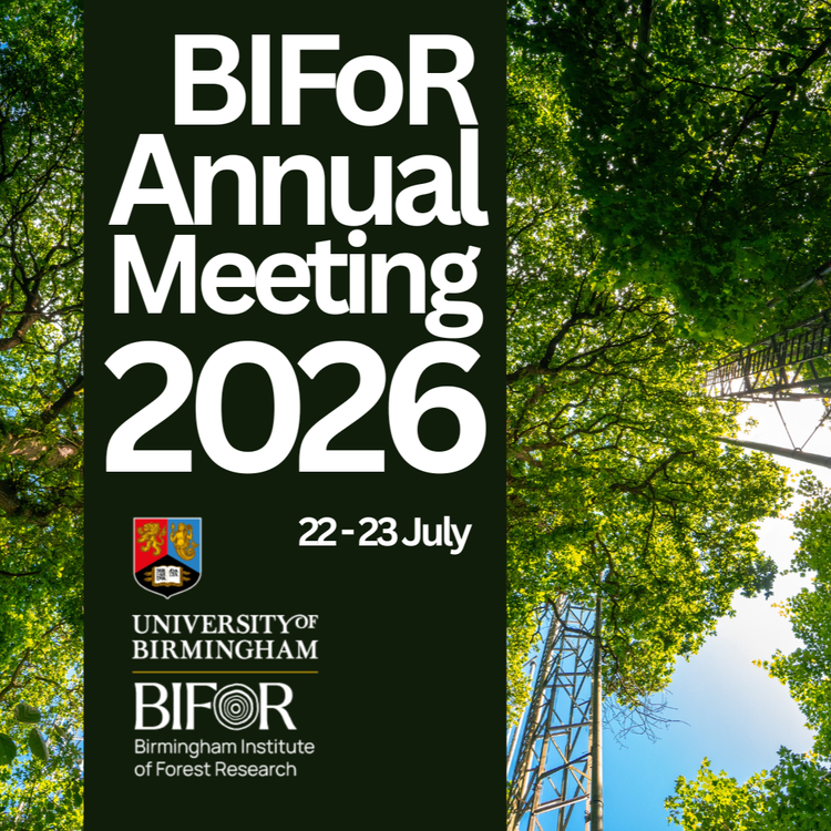 A view of the forest canopy from the ground. Metal infrastructure rises between the trees. Overlayed by a banner displaying the words “BIFoR Annual Meeting 2026 22 – 23 July”, and the BIFoR University of Birmingham logo.