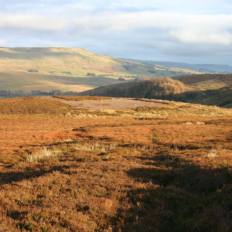 Landscape photo of a sunny peatland site. In the distance, there are mountains, and the sky has a few clouds. 