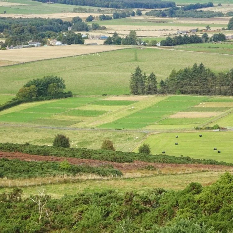 A landscape photo of the grassland plots. 