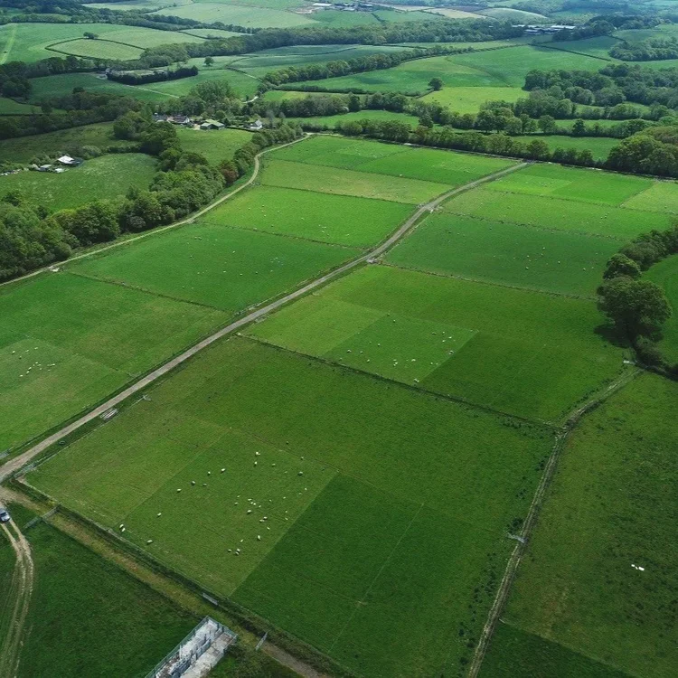 Aerial view of grassland plots.