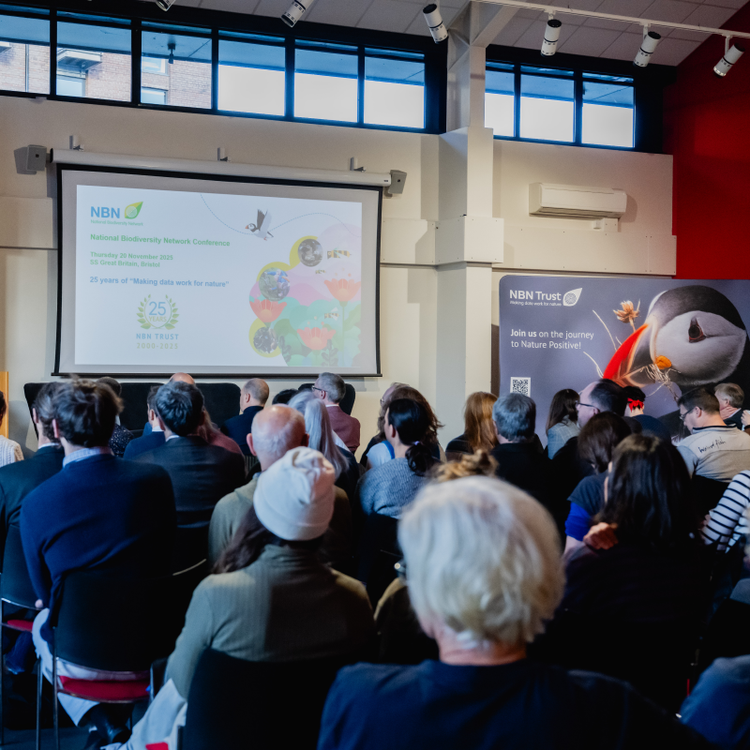 An audience all look to a speaker and their slides. 