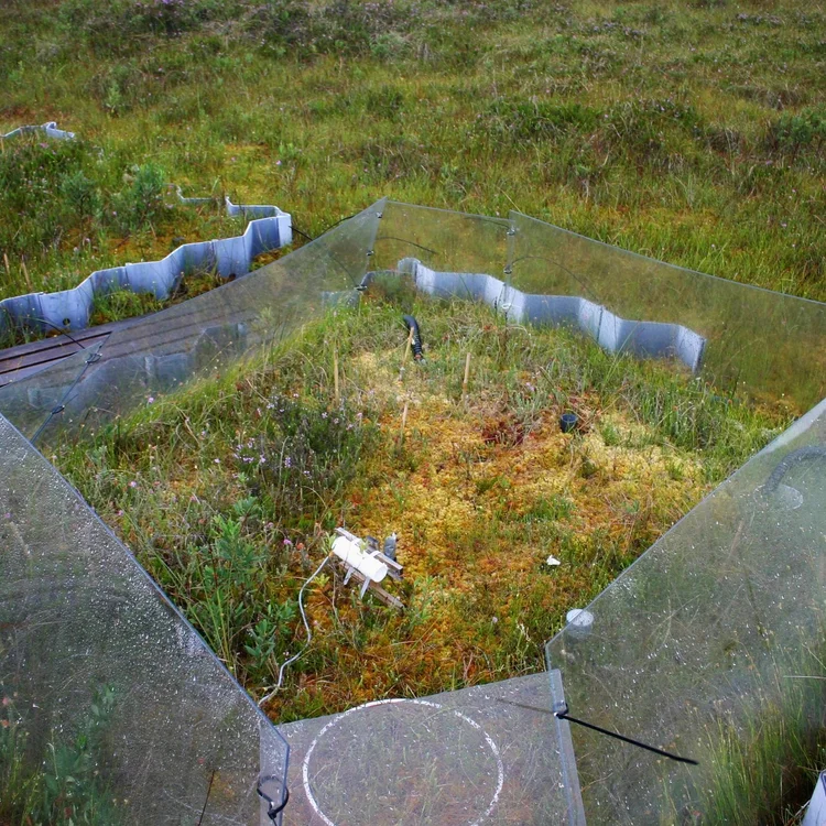 Close up photo of equipment on the ground showing a plot.
