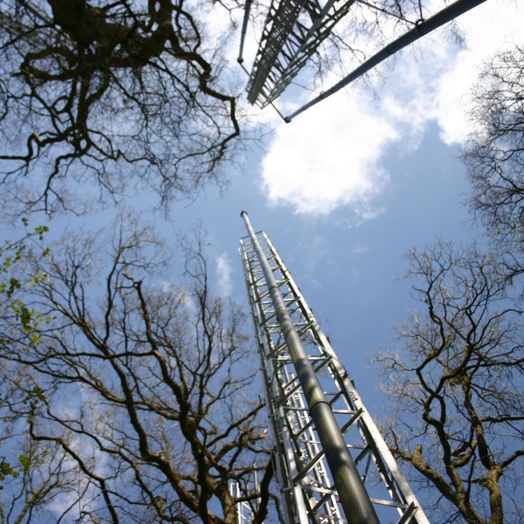 A group of 2 white women and 2 white men stand around an interpretation board smiling at the camera.