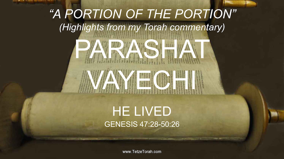 Torah Portion Video Link