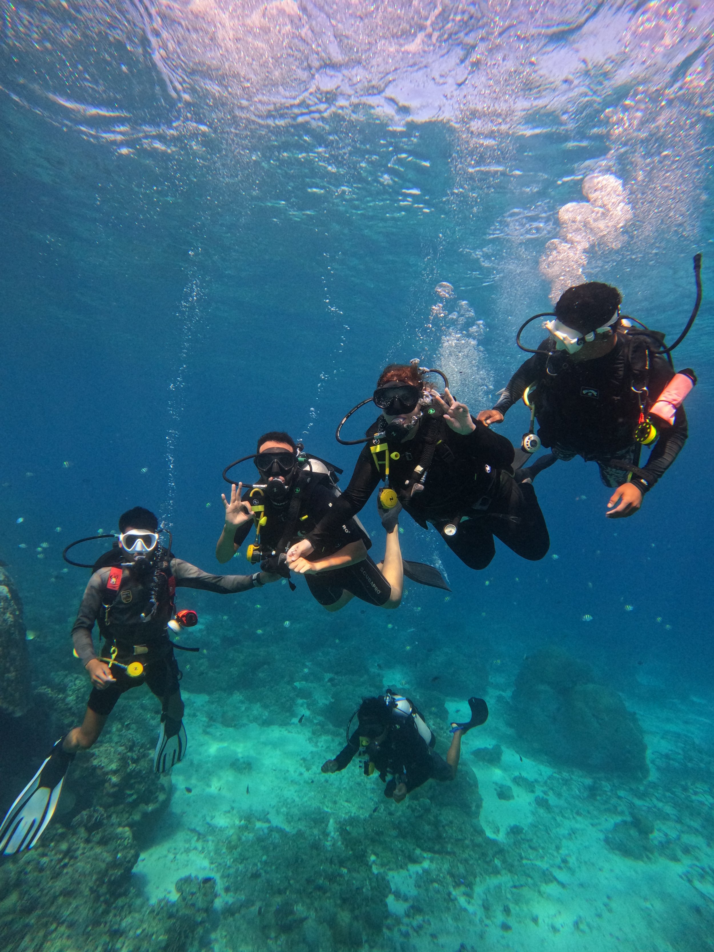 Scuba Diver Course
