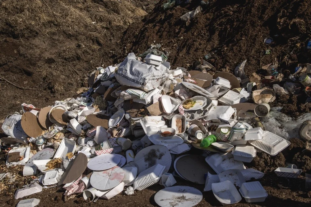 A pile of compostable takeout containers and cups being sorted at the compost pad