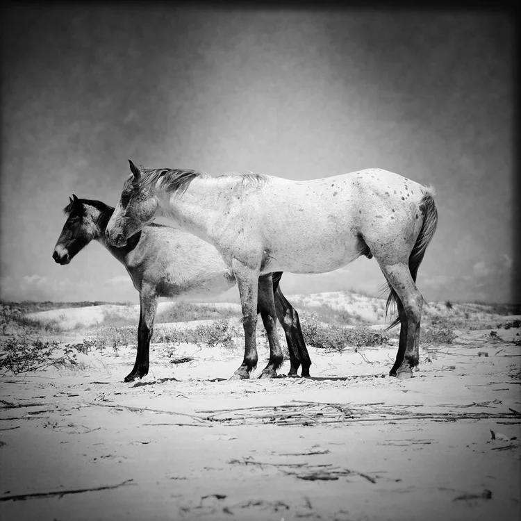 Lore, ArtNite - Arts on the Coast