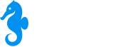 Partner 5