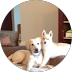 Review by Jeanette LaCorte-Ambroseo
