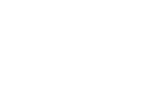 Logo 23