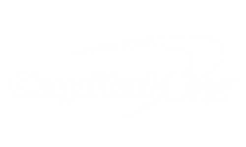 Logo 20