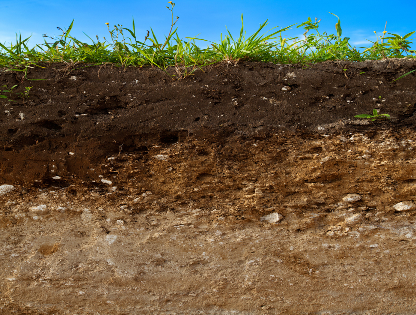 Почвы малоплодородны и сильно заболочены короткие. Почва. Почвенный грунт. Земля грунт. Плодородная земля.