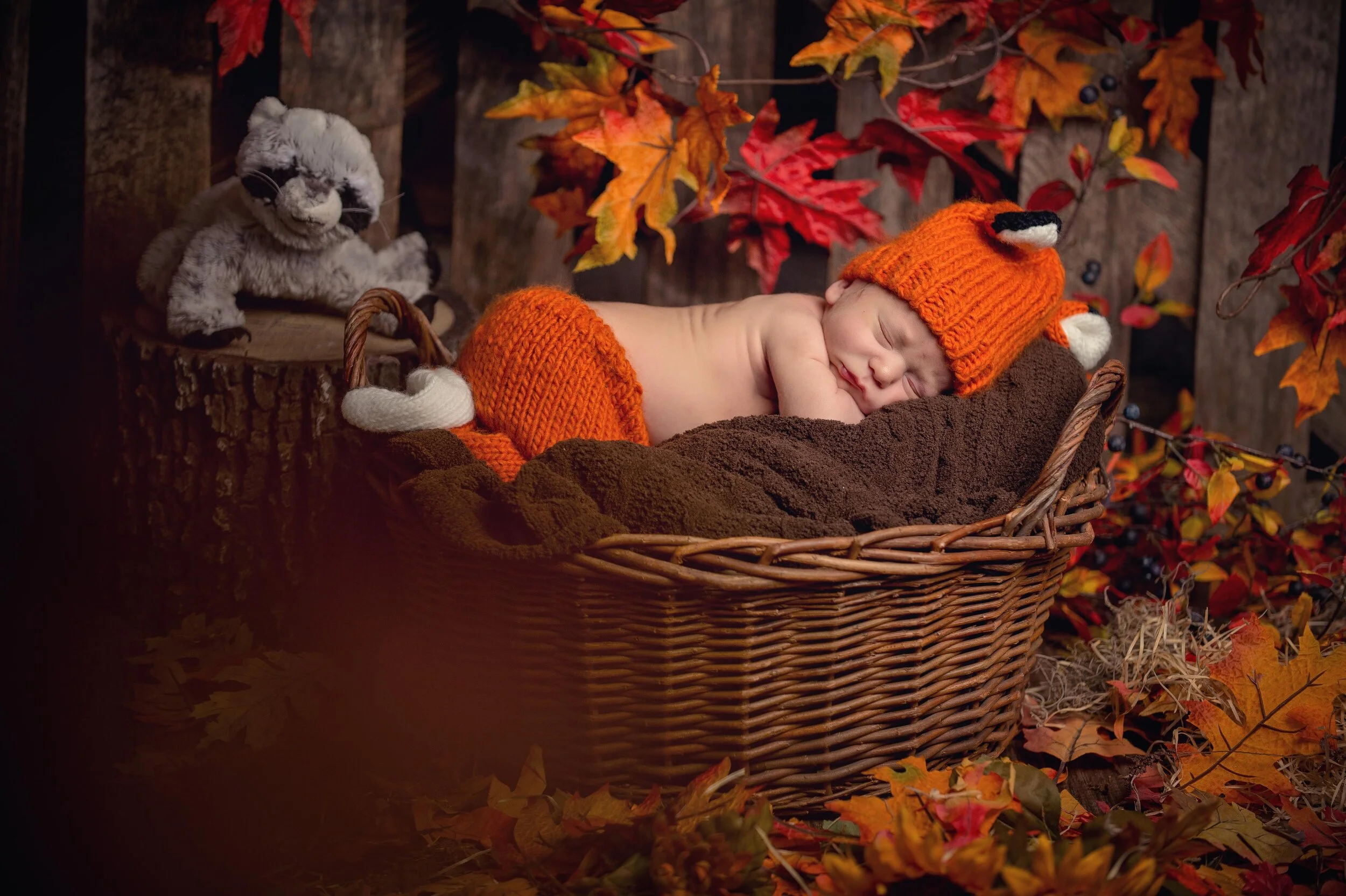 Chattanooga newborn portrait 18