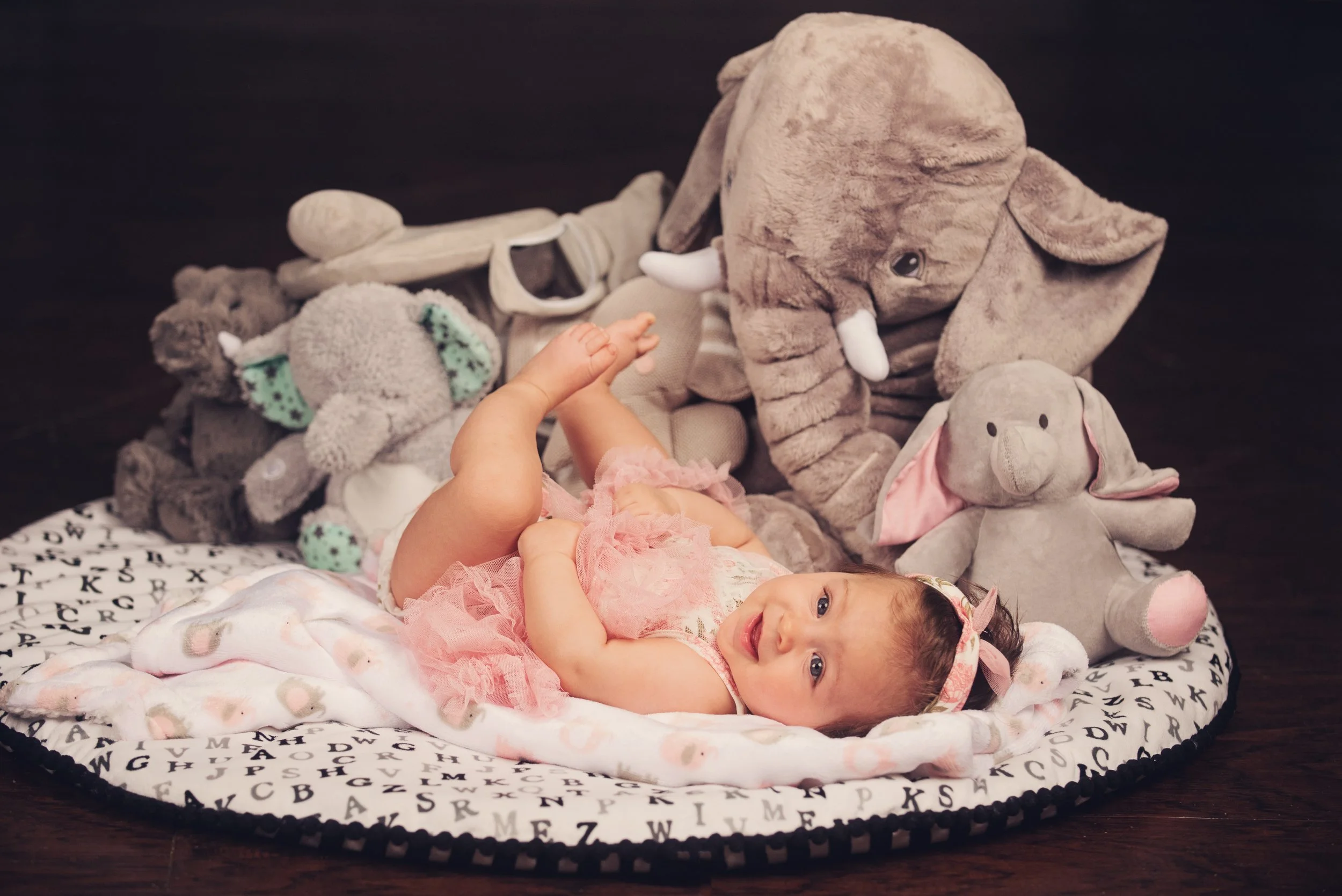 Baby milestone portrait 53 by Matt and Shea Photography in Chattanooga