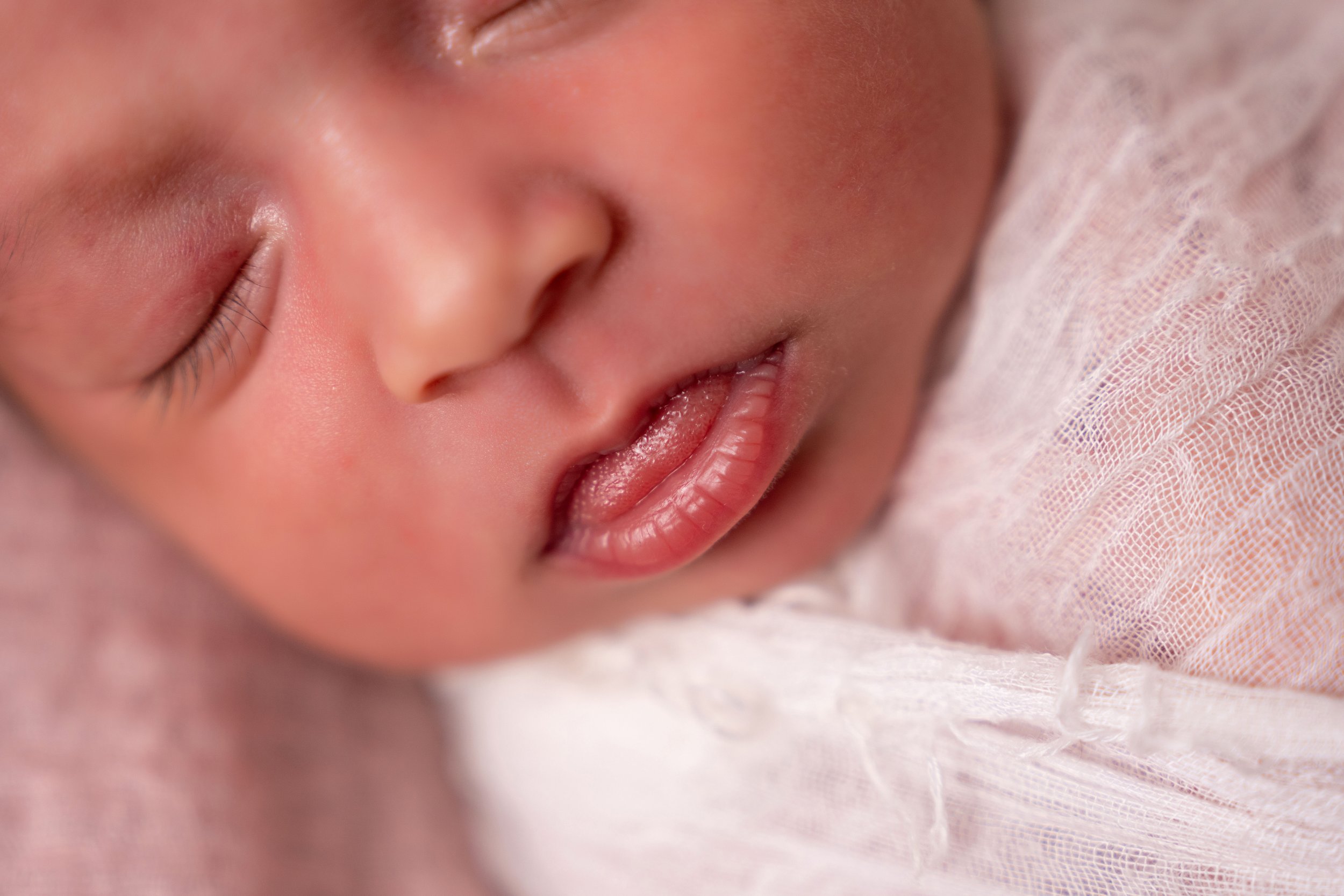 Chattanooga newborn portrait 41