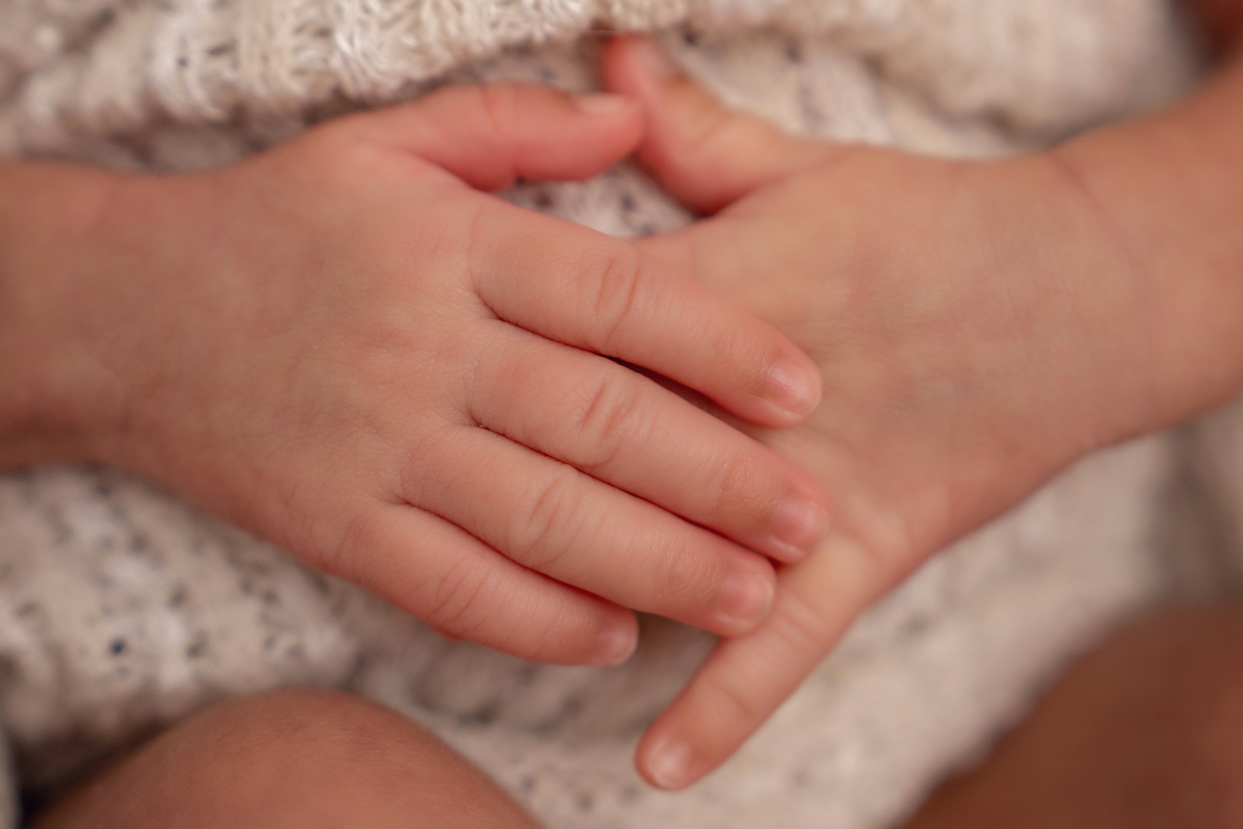 Chattanooga newborn portrait 48