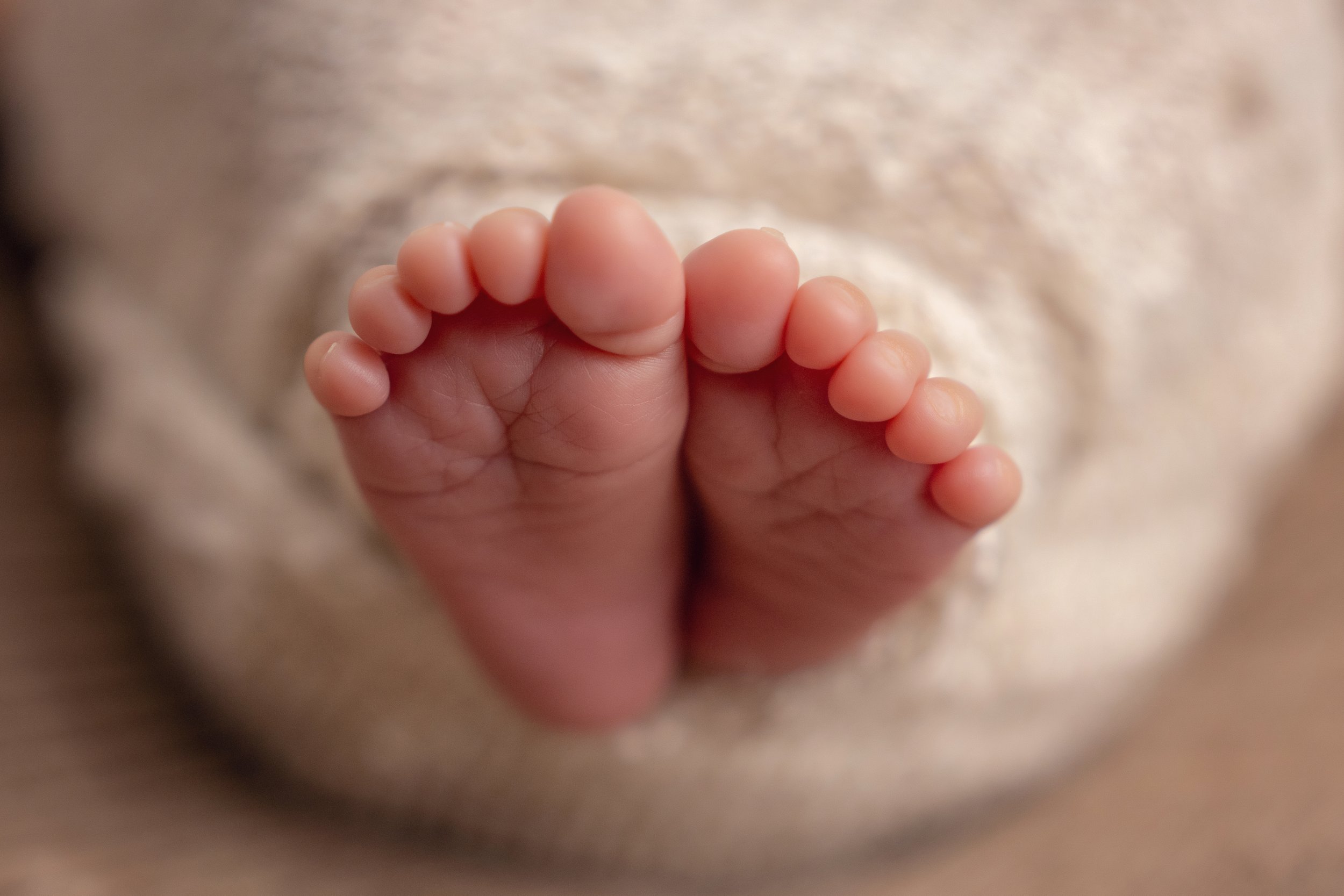 Chattanooga newborn portrait 44